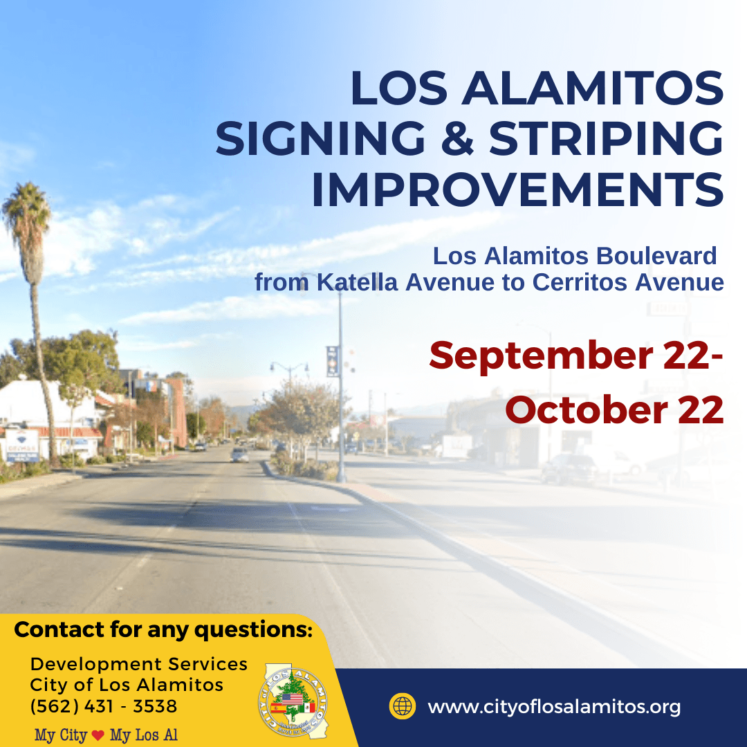 LosAl Striping Prjct (2)